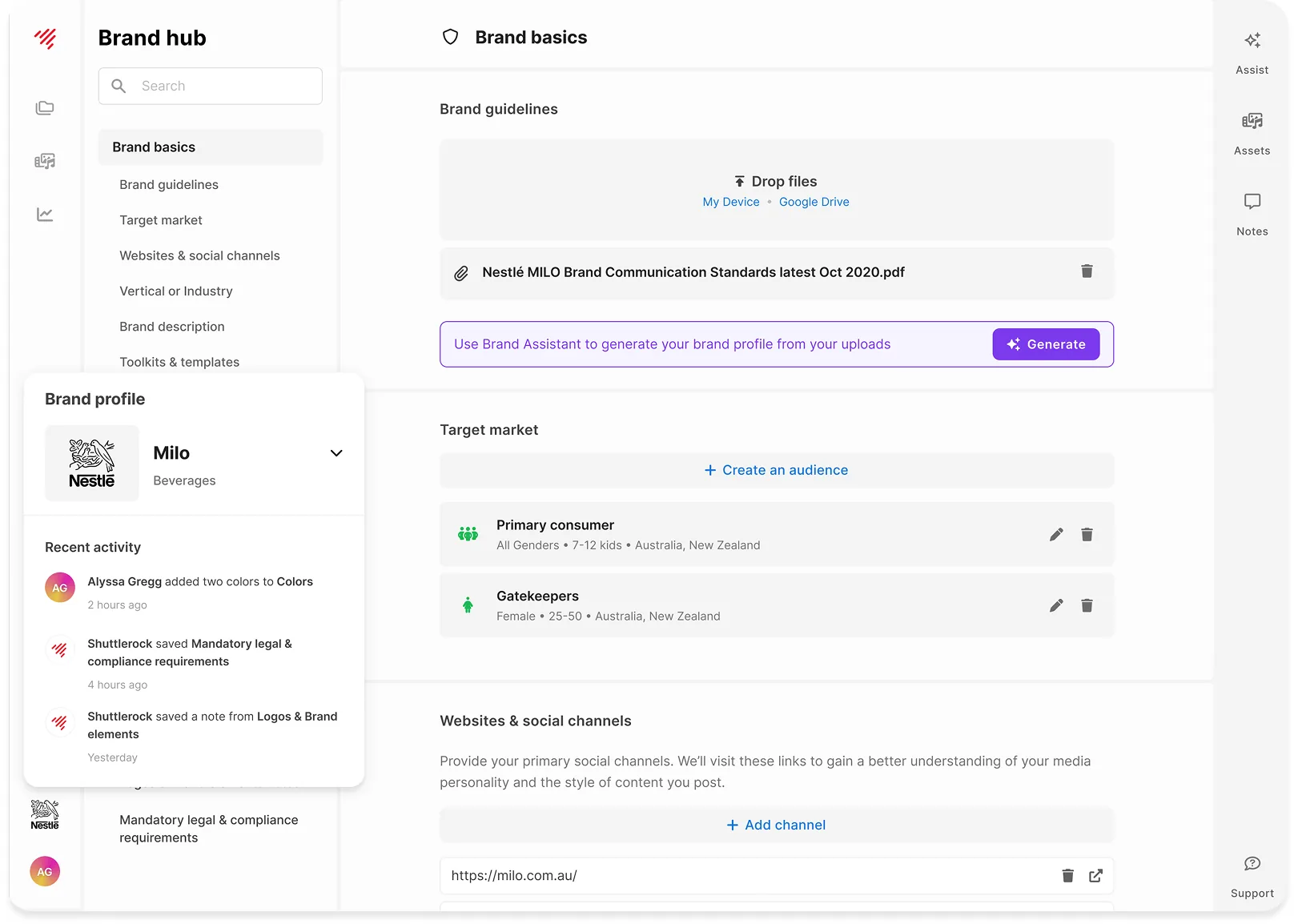 The initial proposal: a revised brand profile screen listing brand guidelines and assets.